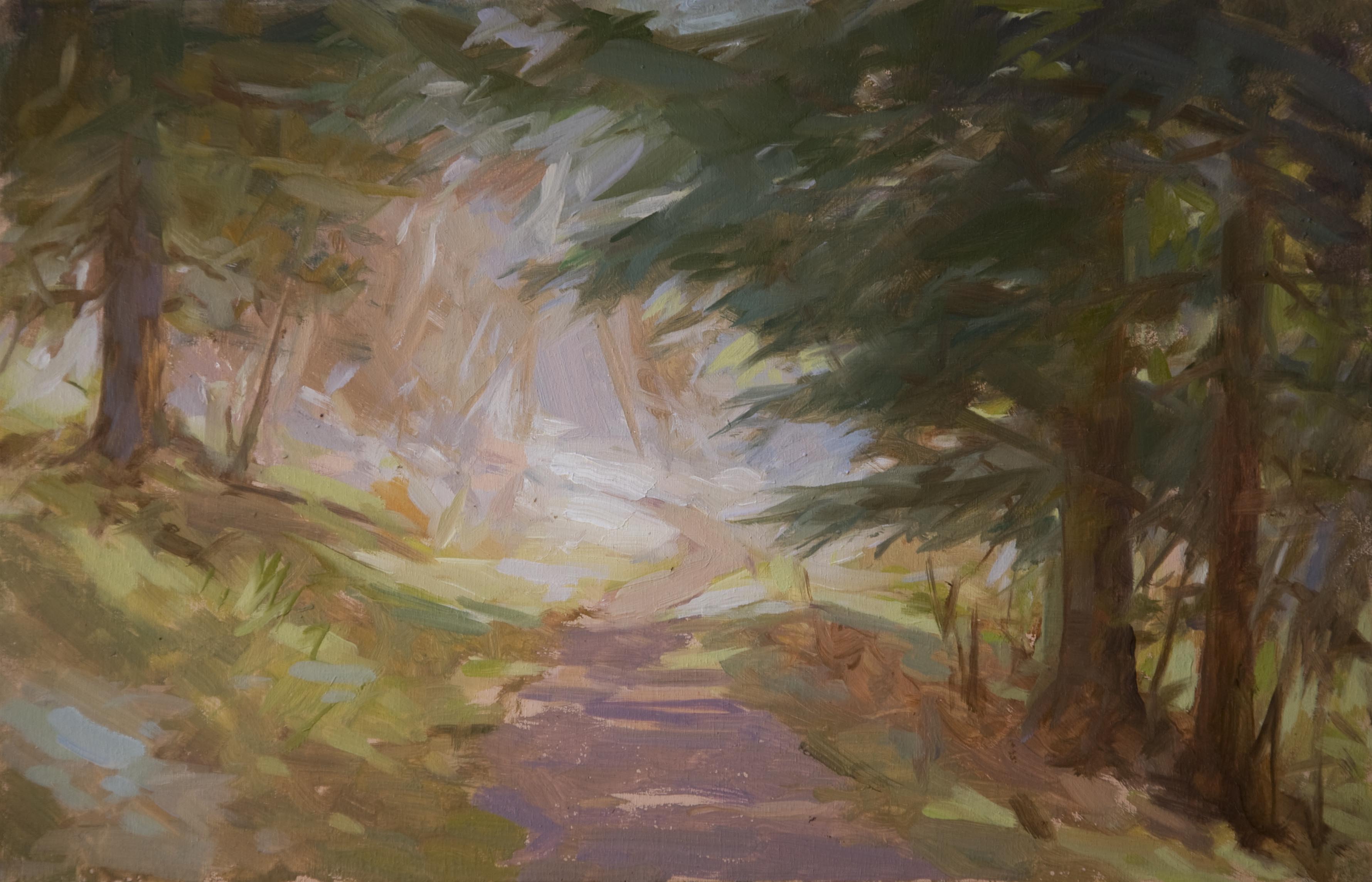 winterpineforest_annadennis