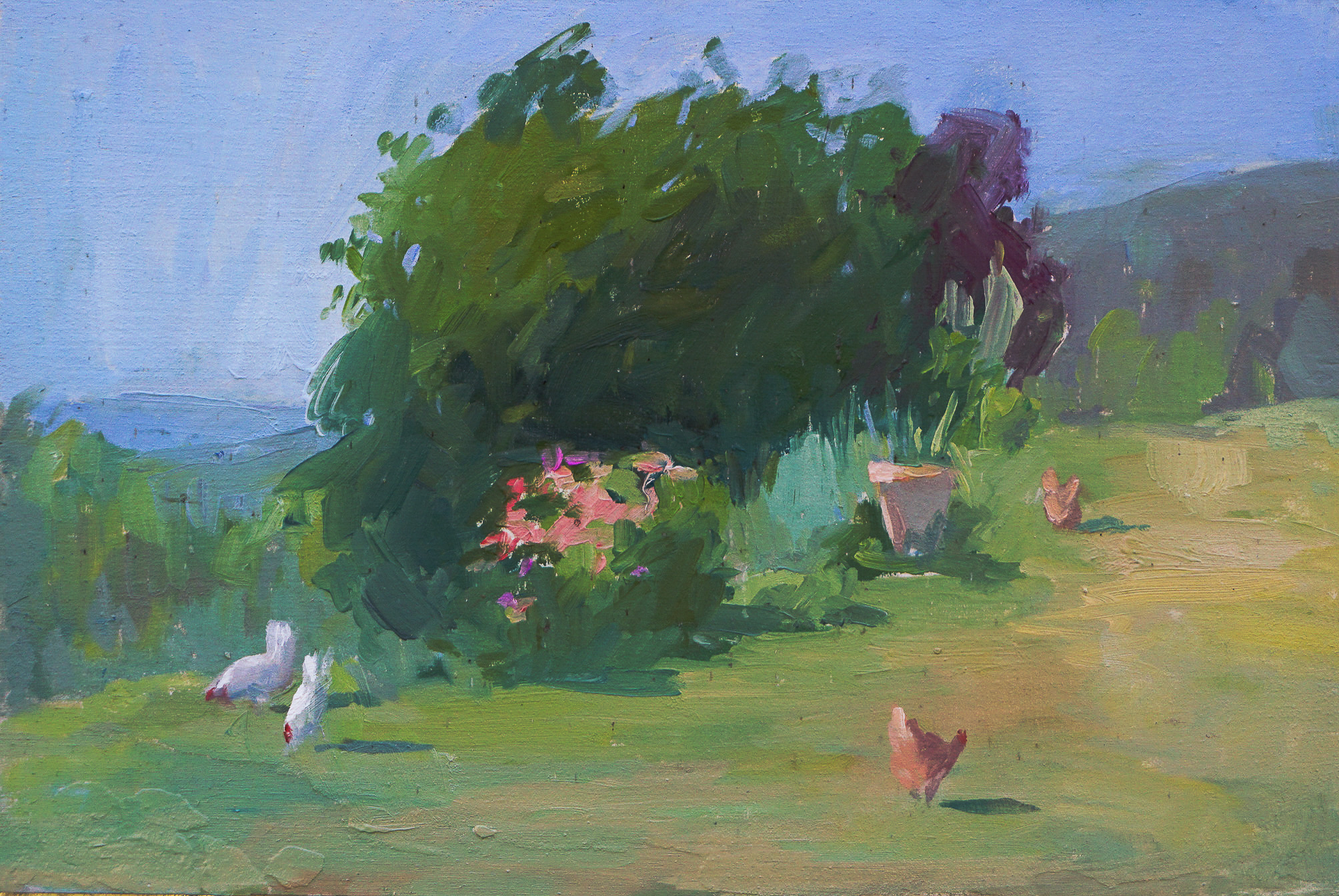 chickens 20cm x 30cm oil on panel